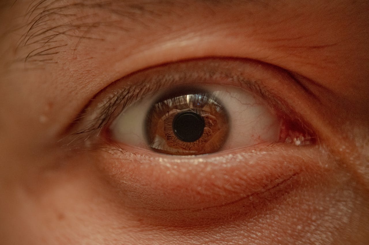 Free stock photo of amber eyes